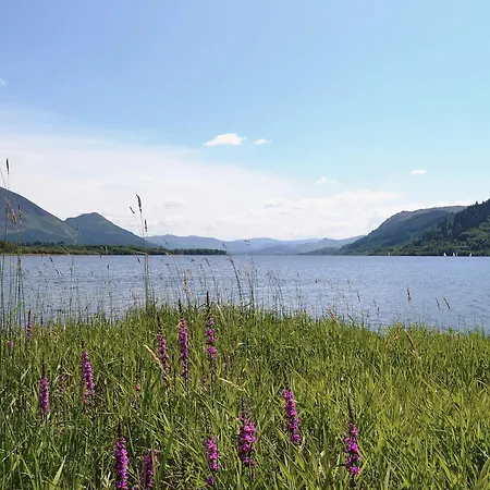 Pheasant - Ukc3428 بيت للعطل *